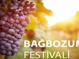 Bozcaada Bağbozumu Günleri 2026