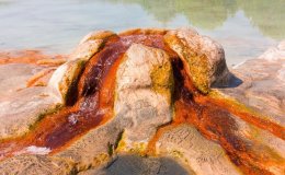 Pamukkale ve Karahayıt Kaplıcaları 2026 Rehberi